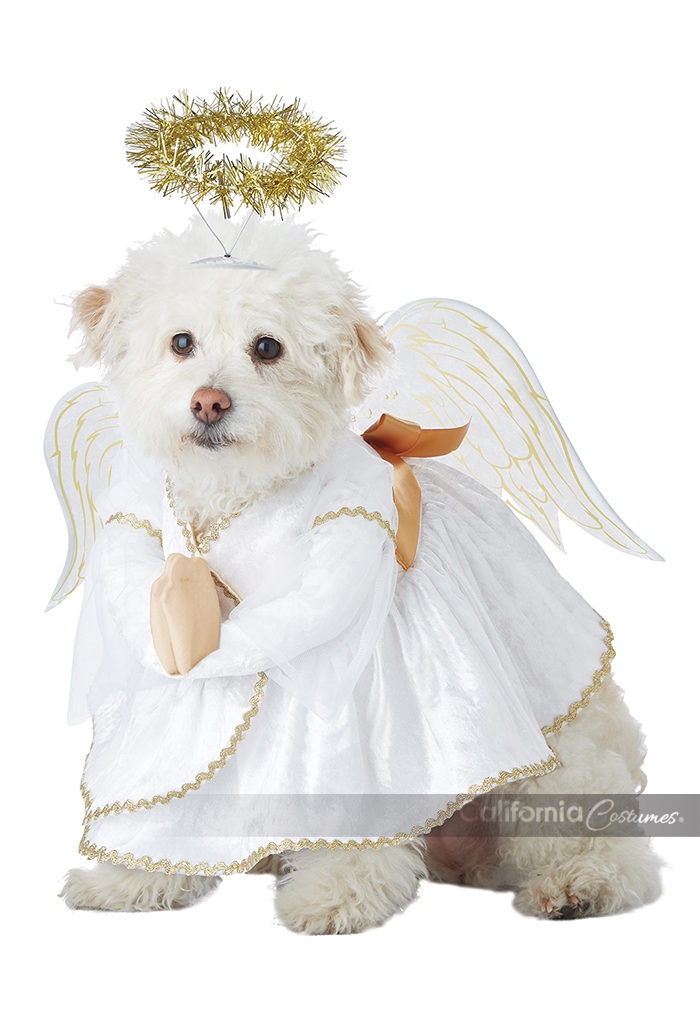 HEAVENLY HOUND / DOG COSTUME California Costumes