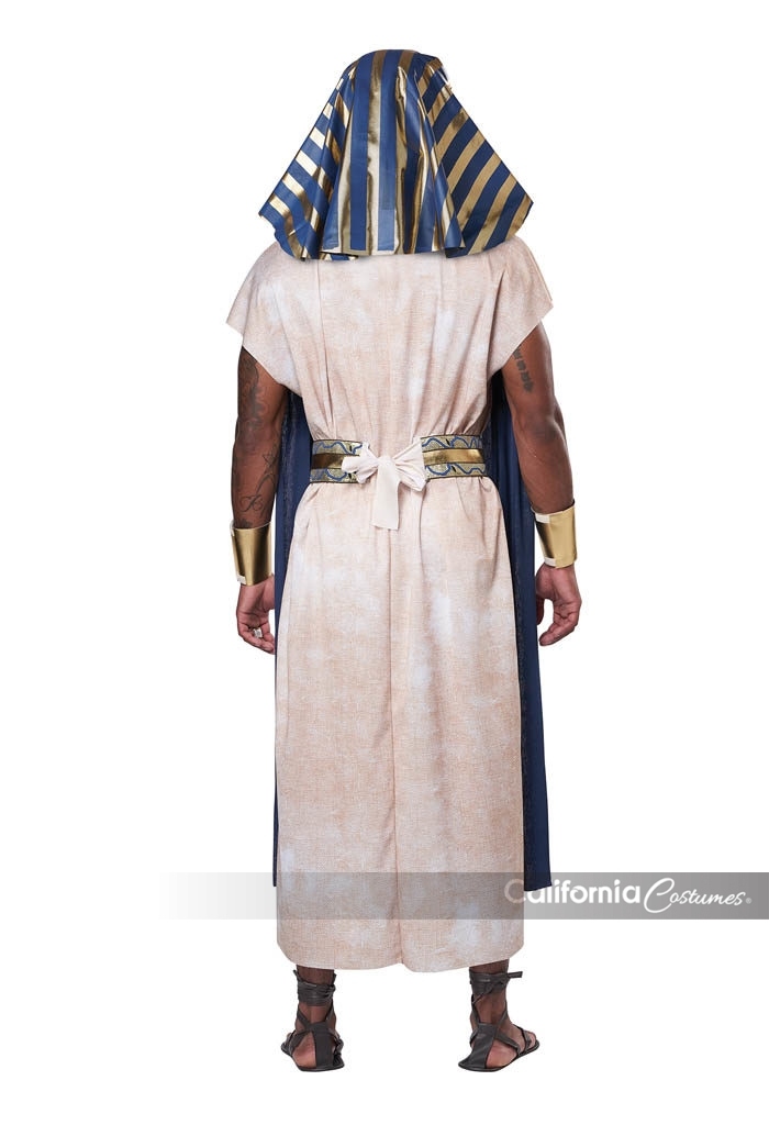 Details about   Adult Ancient Egyptian Tunic Mens Halloween Costume 
