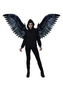 6225-131_RavenCosplayWings_01